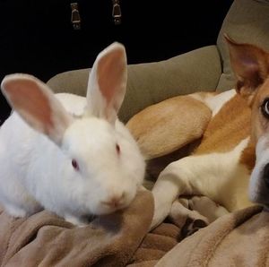 Meet your Posher, James